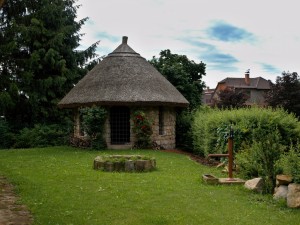 P6196146