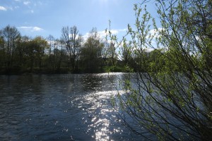 IMG 0924