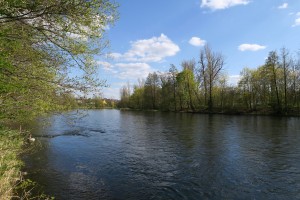 IMG 0925