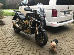 IMG-20171211-WA0000