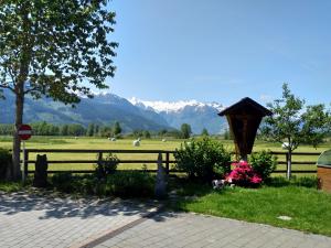 IMG 20190604 114504
