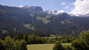 IMG 4736