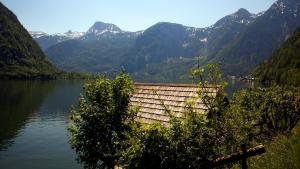 IMG 4860