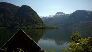 IMG 4862