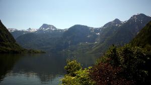 IMG 4863