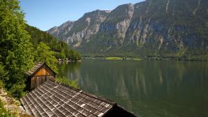 IMG 4865