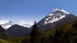 IMG 4672