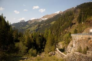 IMG 4678