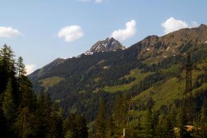 IMG 4685