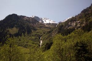 IMG 4533