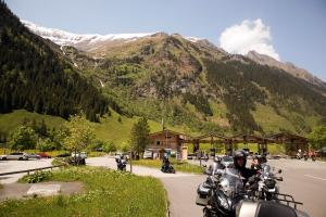 IMG 4537