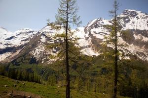 IMG 4548