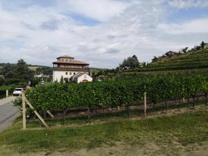 IMG-20190811-WA0047