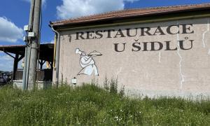 IMG 7763