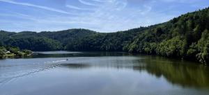 IMG 7842