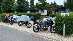 IMG 4873