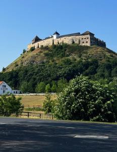 IMG 4994